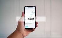 关于杠杆炒股指软件的信息