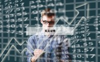 关于股票t0平台的信息